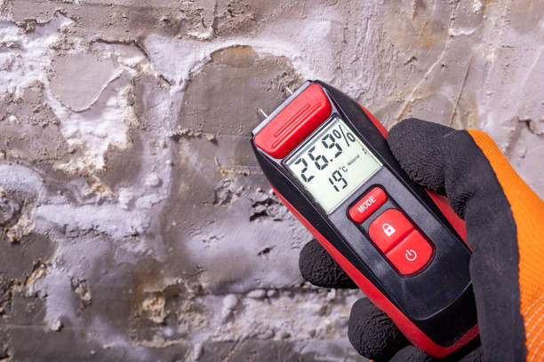 Rio Grande City, TX Mold Removal Company